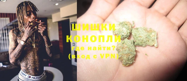 индика Переславль-Залесский