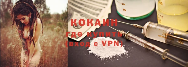 индика Переславль-Залесский