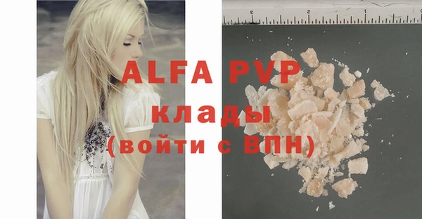 индика Переславль-Залесский