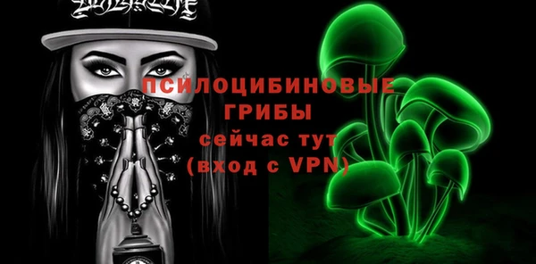 эйфоретик Пересвет