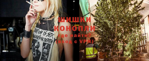 индика Переславль-Залесский
