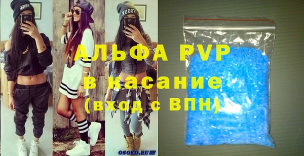 индика Переславль-Залесский