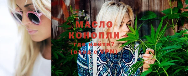 индика Переславль-Залесский