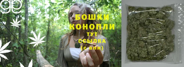 индика Переславль-Залесский