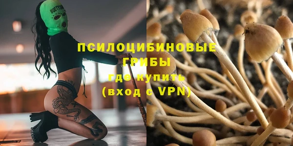 эйфоретик Пересвет