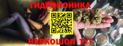 скорость Гатчина