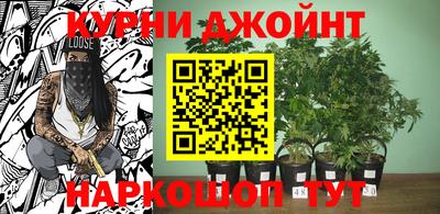 скорость Гатчина