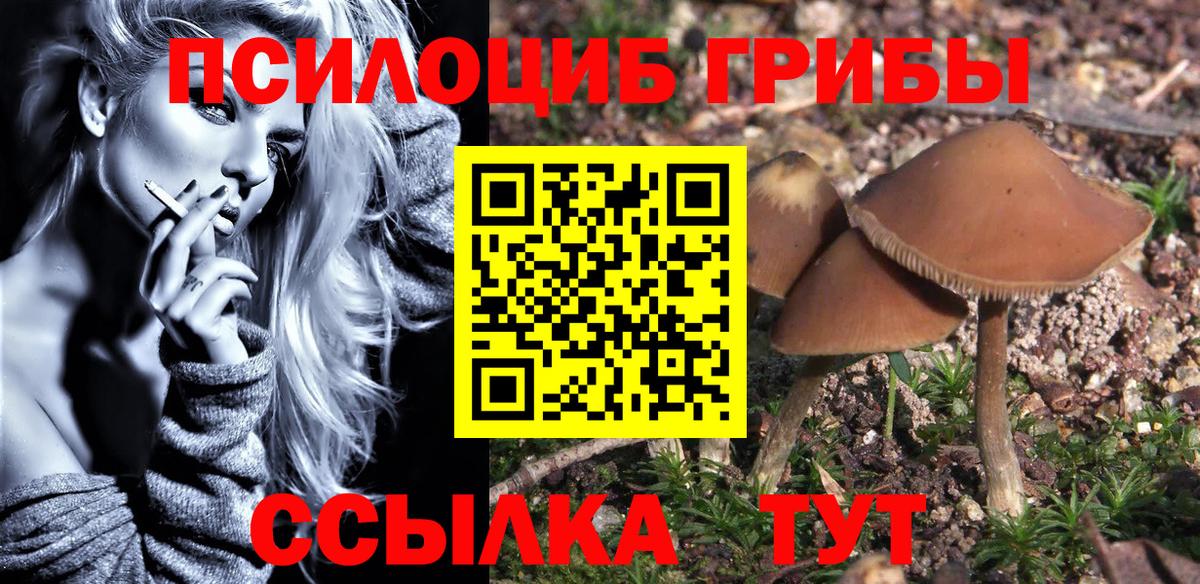 Галлюциногенные грибы мицелий Кимры