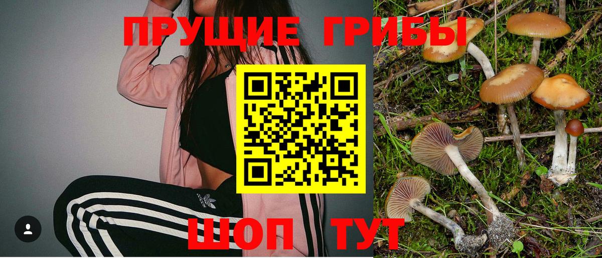 Гашиш Кимры