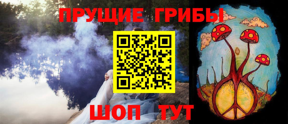Псилоцибиновые грибы Psilocybine cubensis  Вход с VPN  Кимры 