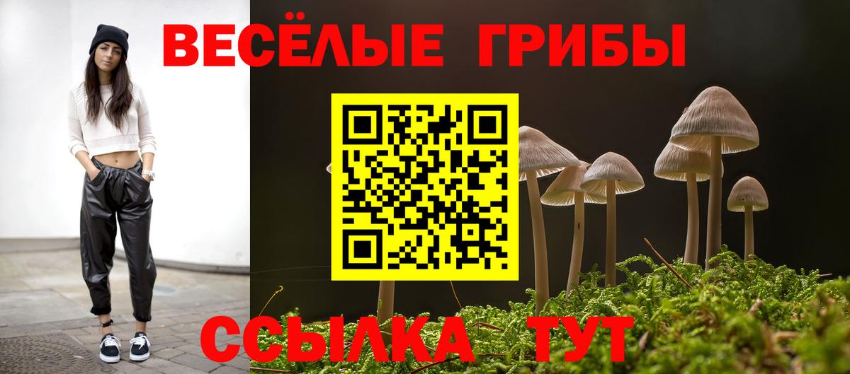 Галлюциногенные грибы GOLDEN TEACHER  Кимры 